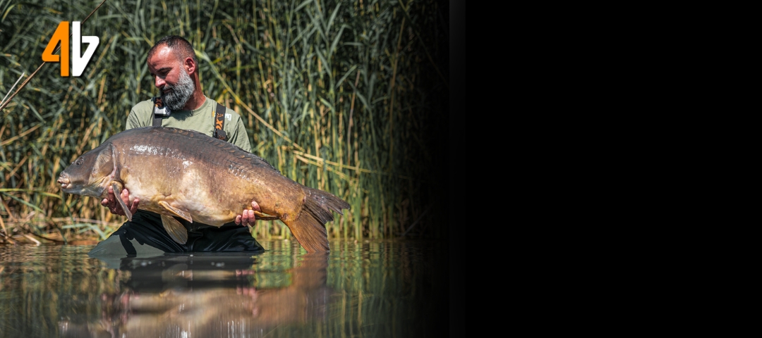 4Baiting - for fishing