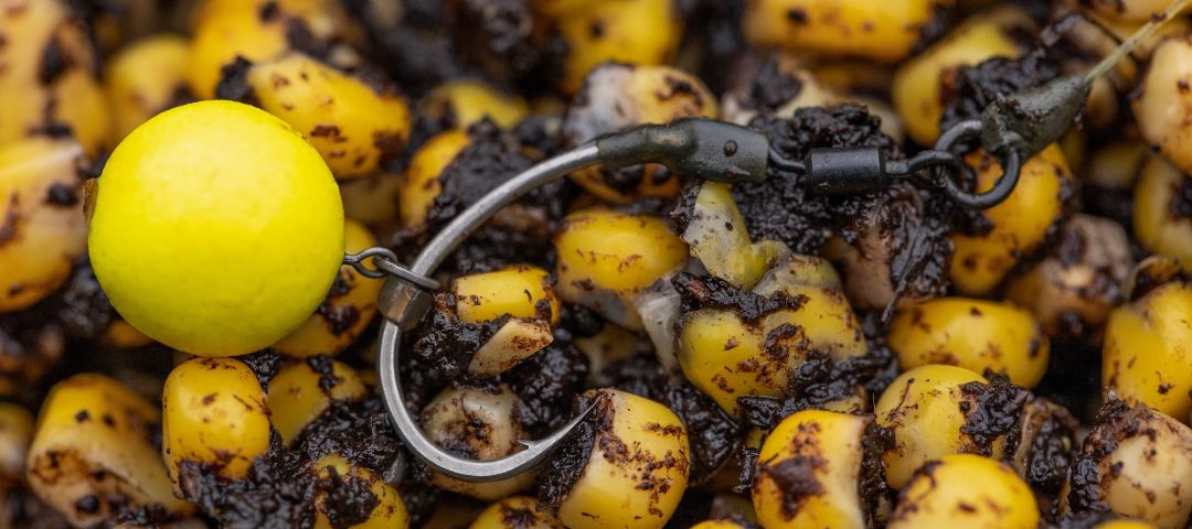 4Baiting - for fishing