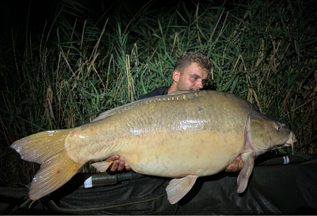 Midnight Carp Cup Harsány - Fodor Zoltán