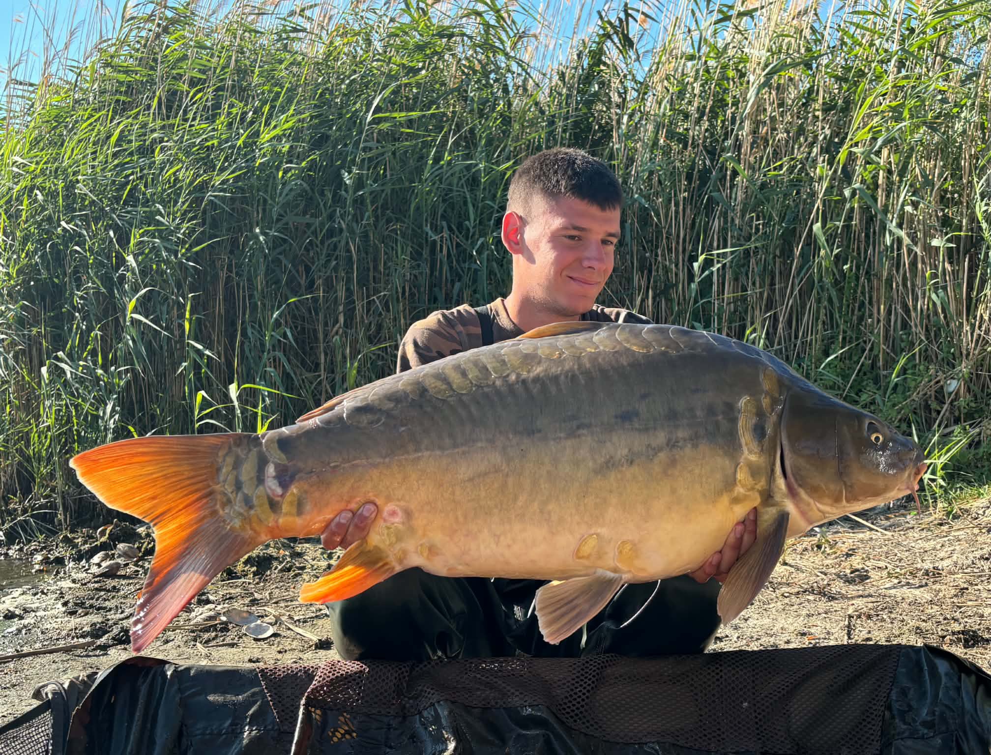 Több mint 140 megfogott hal és négy 20+ -os ponty – Fárasztó, de felejthetetlen nyolc nap Palotáson!