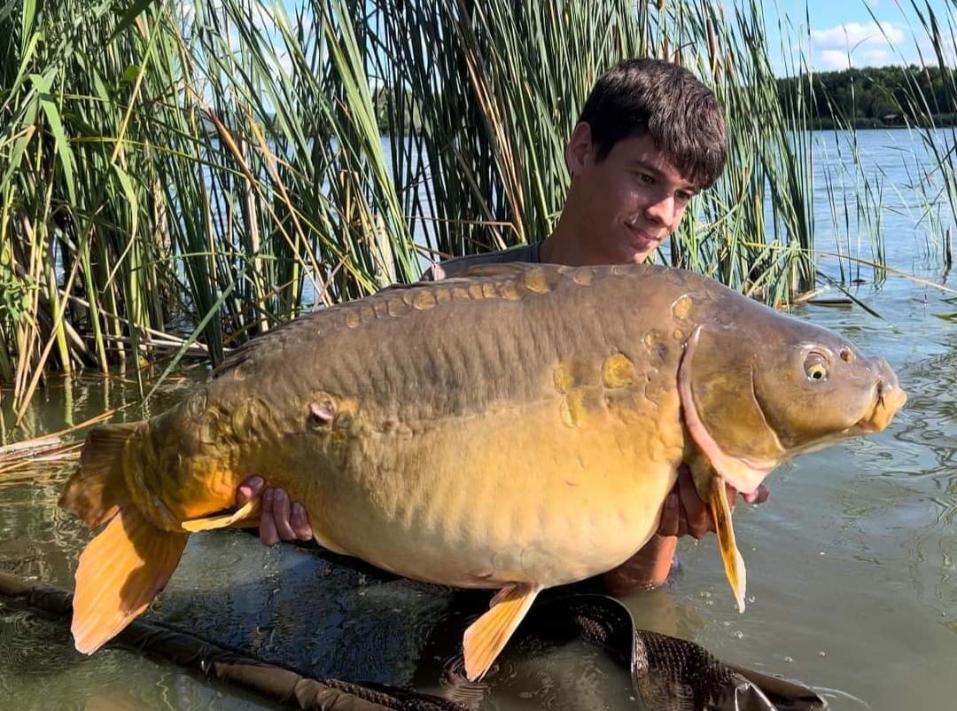 4 nap, 4 húsz feletti...