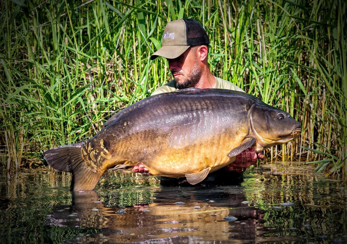 Egy új fejezet kezdete I. – 4Baiting