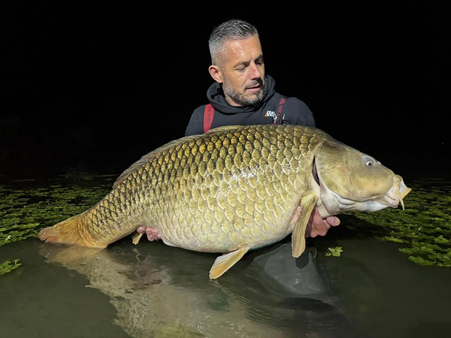 Egy mérföldkő átlépése: 31,29 kg-os álomponty az RSD-ből!