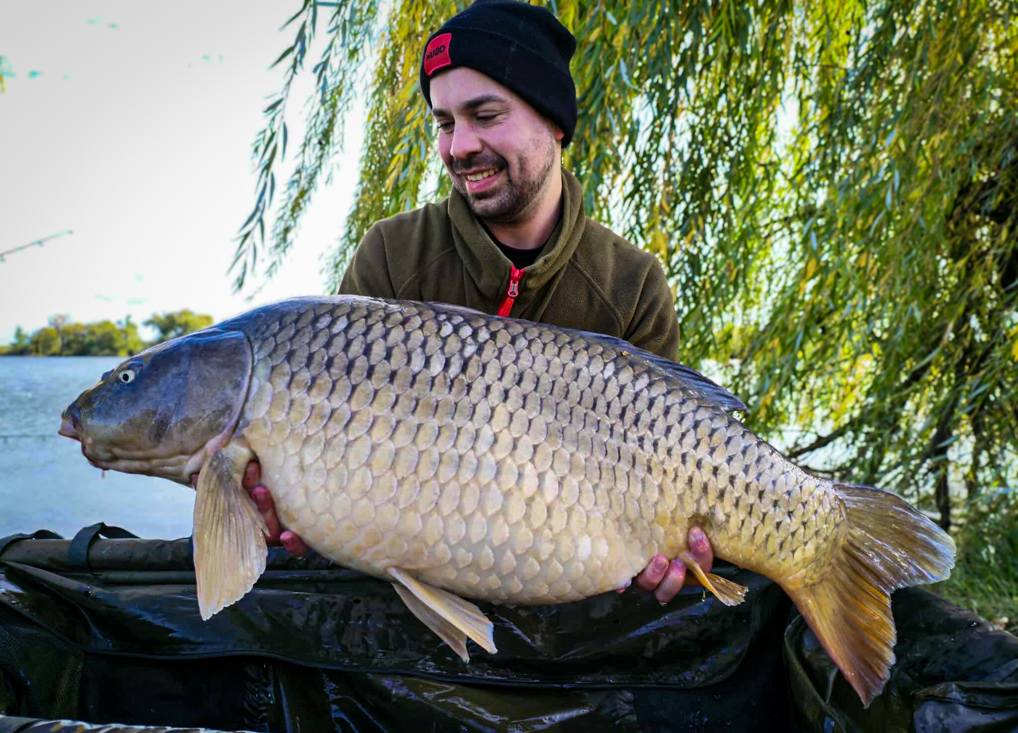 Gyönyörű 20 kg-os ponty Látóképről – A Krill és a Mangó bevált!